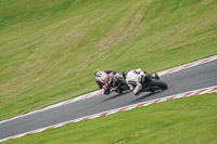 anglesey;brands-hatch;cadwell-park;croft;donington-park;enduro-digital-images;event-digital-images;eventdigitalimages;mallory;no-limits;oulton-park;peter-wileman-photography;racing-digital-images;silverstone;snetterton;trackday-digital-images;trackday-photos;vmcc-banbury-run;welsh-2-day-enduro